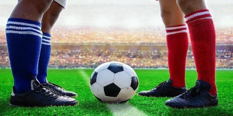 Nhiều hình thức cược giúp game thể thao SHBET trở nên hấp dẫn