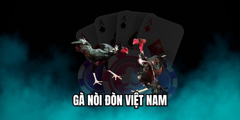 gà nòi đòn Việt Nam